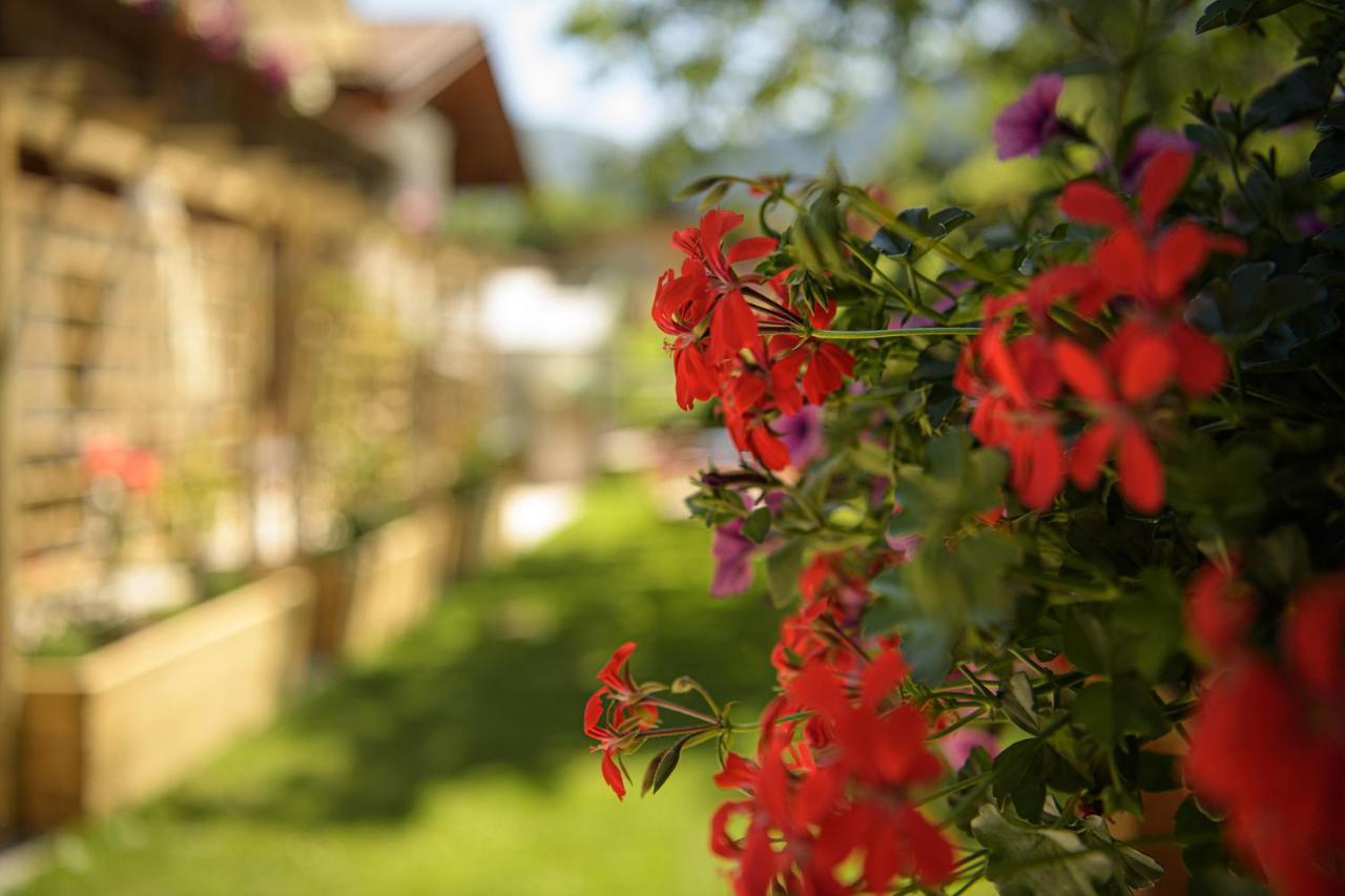 Apartamento Alpen-Nest Grossarl Exterior foto